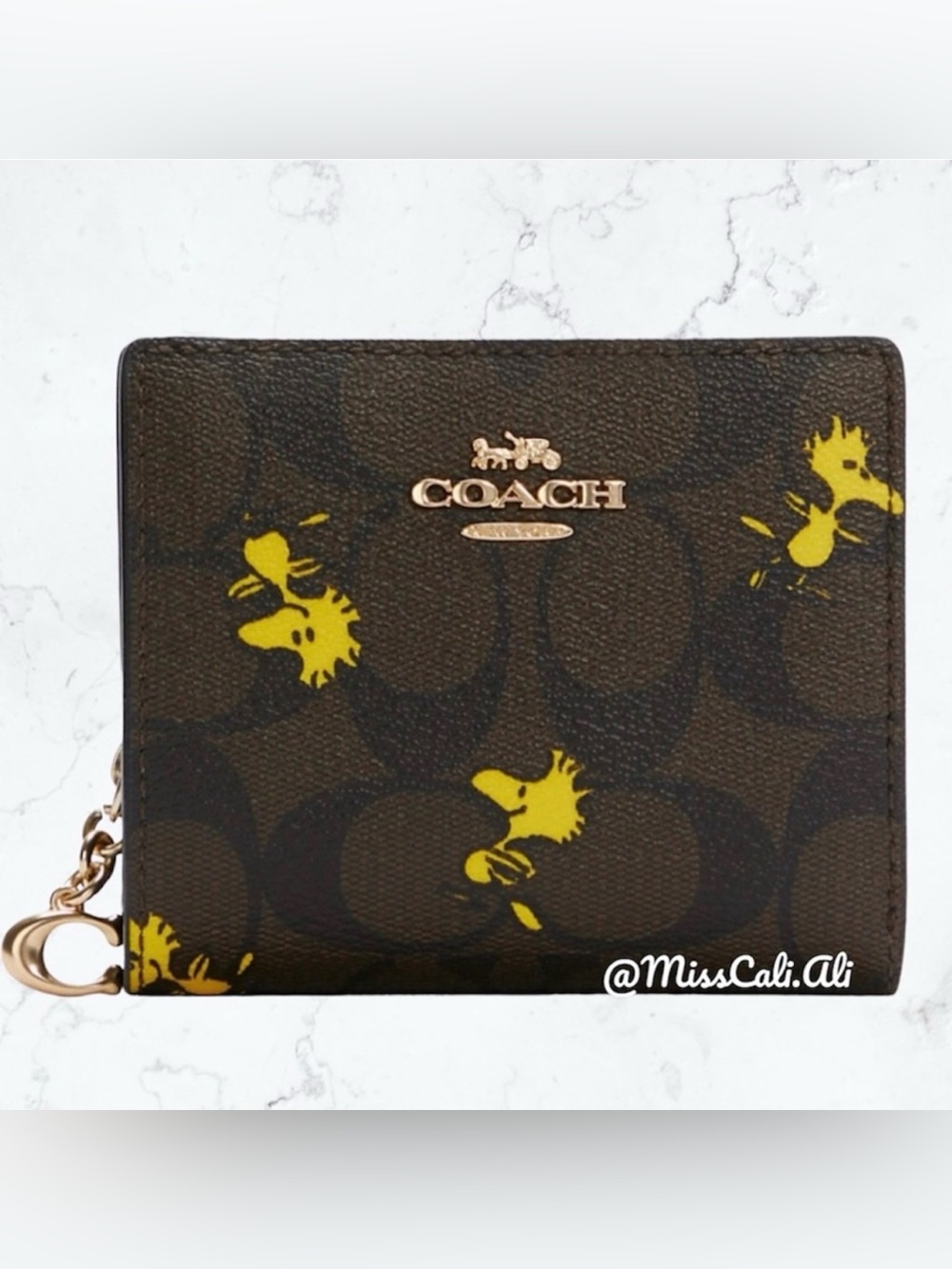 NWT COACH X Peanuts Snap Wallet In Signature Canvas With Woodstock Print
